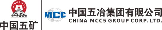 Shanghai Tesla Gig